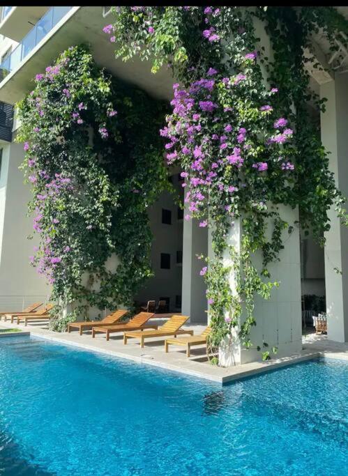 Charming Zen-Style Beach Apartment At Punta Caelo San Carlos Eksteriør billede